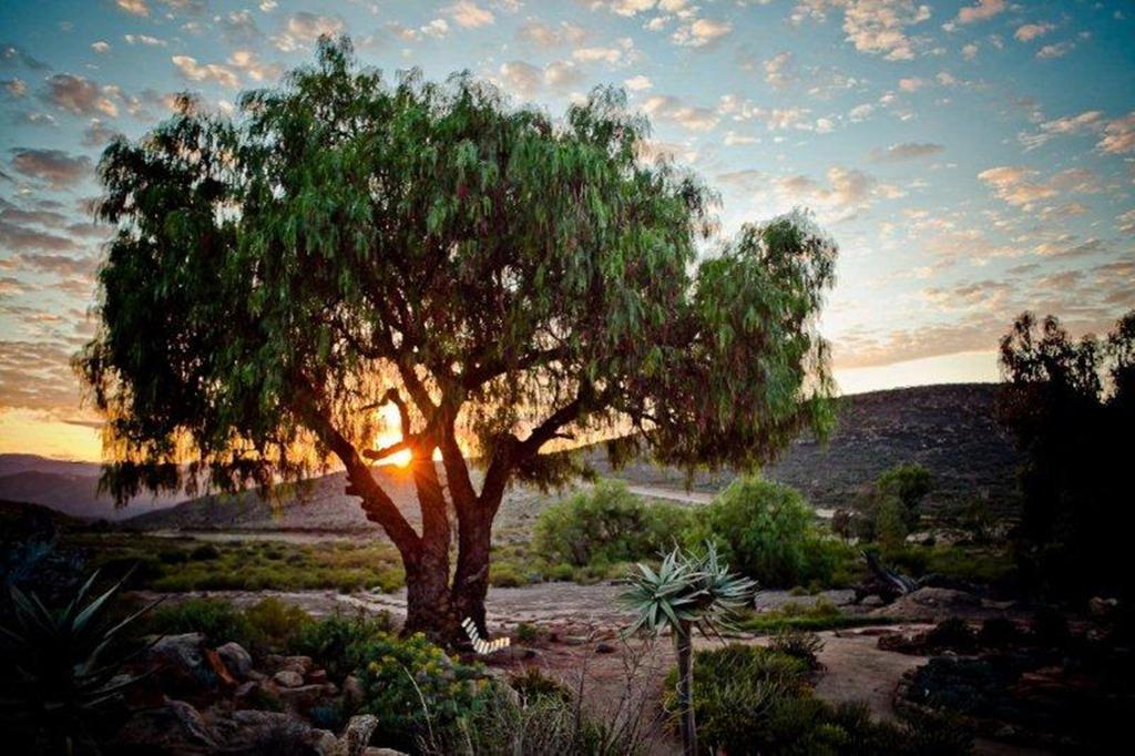הוילה Goop Naries Namakwa Retreat מראה חיצוני תמונה